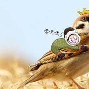 你的性格有多傲娇？