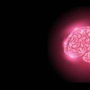 你的左右脑分别有几岁？