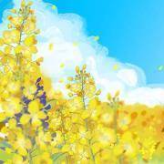 你是重感情的人吗？