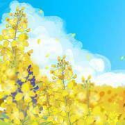 你是男人眼中哪类女人？