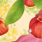 测测你是哪一种苹果型人格