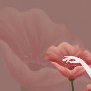 测测你的心灵属性