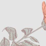 测试你内在的自我是什么样的？