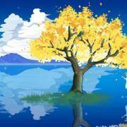 植树节，一棵树透露你的性格密码