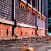 你有多情绪化？