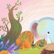 7种动物，测测你是哪一种？