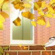 女生专测：爱情里，你是哪种小猫女？