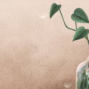 你几岁会遇到事业瓶颈？