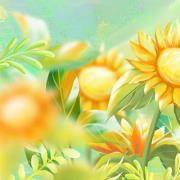 你是职场向日葵还是含羞草？