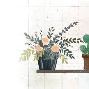 你适合养什么植物？