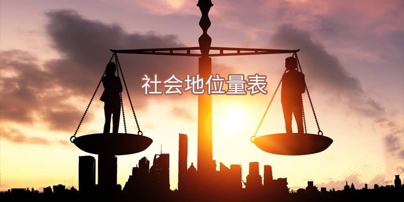 社会地位量表 ST