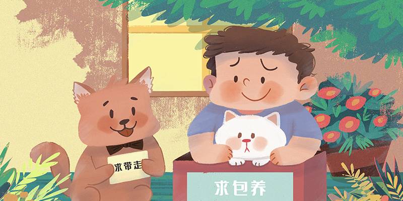 多少钱能包养你？
