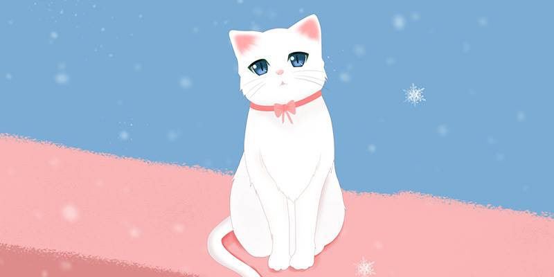 别人眼里你有多傻？