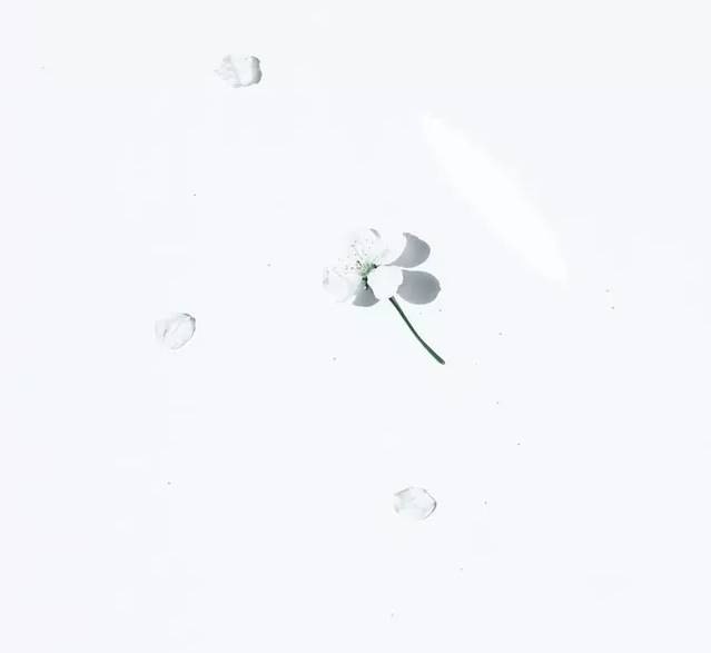 状态与特质性孤独量表-长期