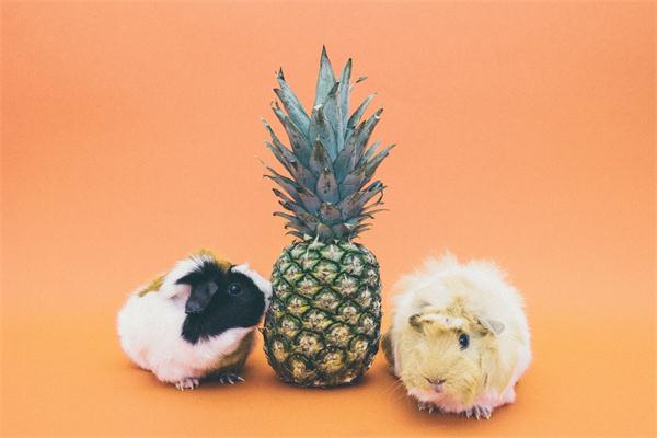 幸福离你有多远？