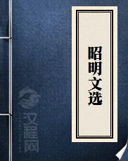 昭明文选